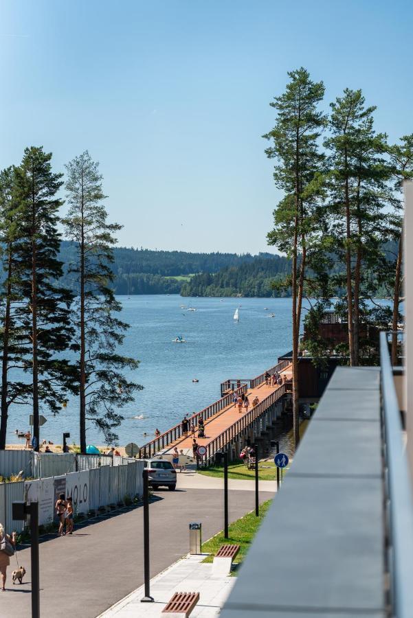 Apartman Molo Lipno ลิปโนนัดเวิลตาวู ภายนอก รูปภาพ